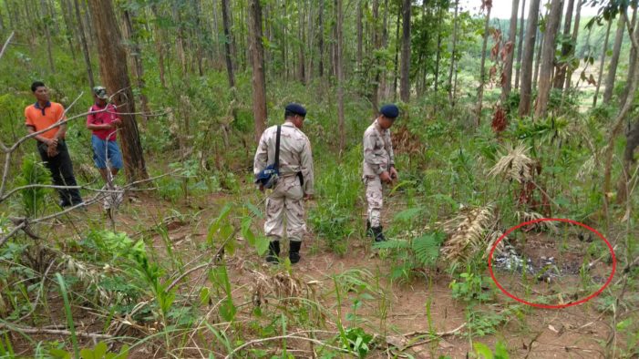 Teennudists Jungle Titten - Remains of Burnt Body Found in Forested Area of Chiang Rai's ...