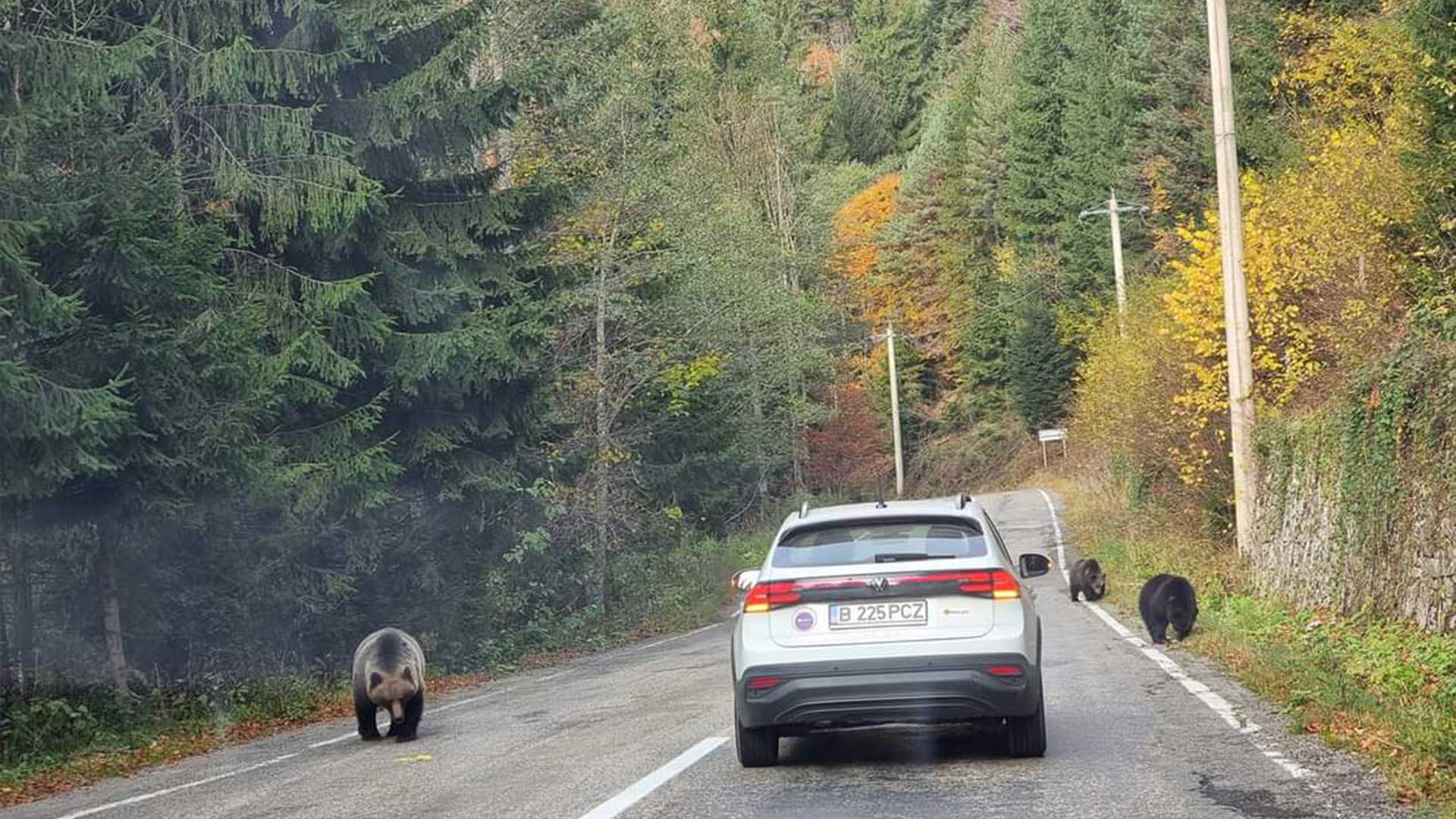 Sibiu